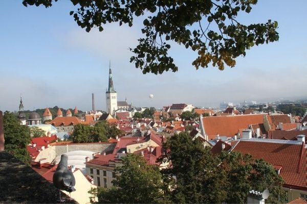 Tallinn-1