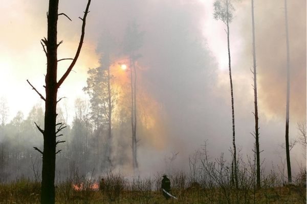 Foto mājaslapai meza ugunsgreks