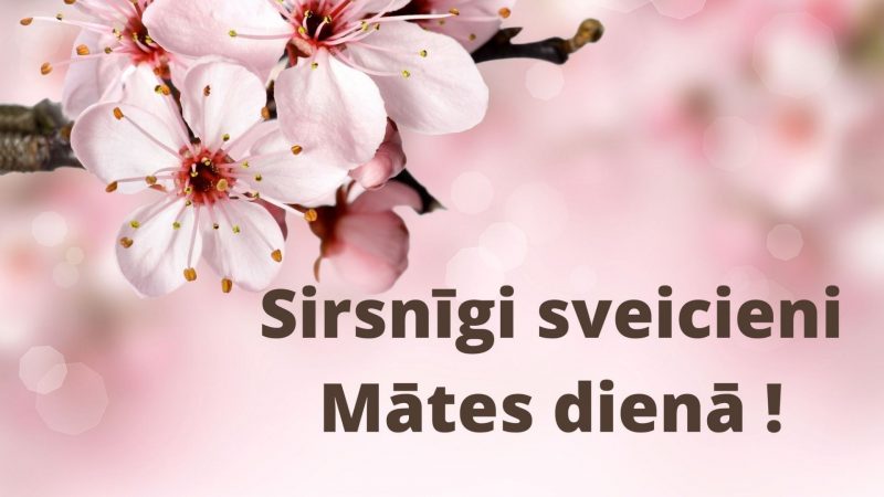 MATES-DIENA