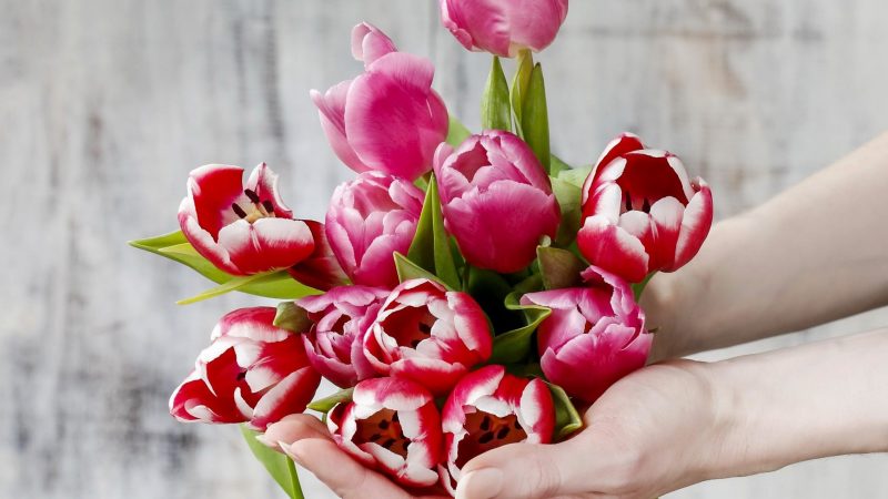 bunch-of-flowers-in-hands-wallpaper