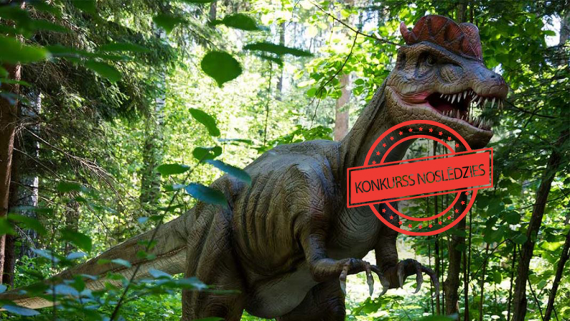 dino-dragon-konkurss-nosledzies
